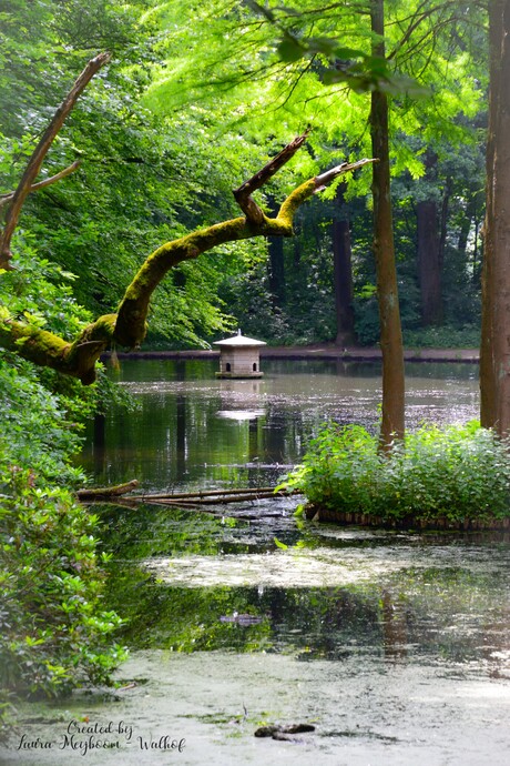 Water met een eenden huisje