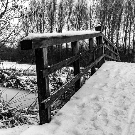 Winterlandschap in de late middag