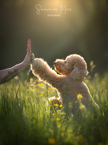 High Five, it's Friday!
