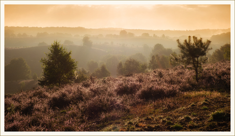 Herikhuizerveld