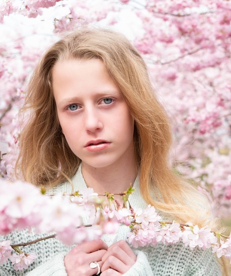 Model Isabelle