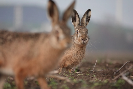 Er wou er ééntje persé ook op de foto!