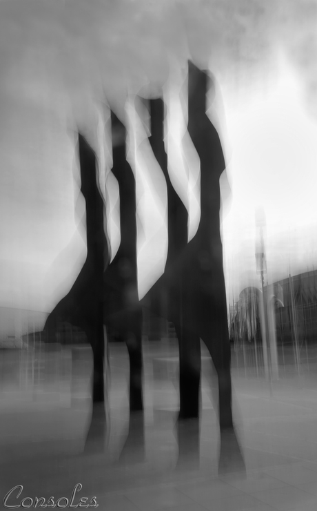 For ducks in a row in black