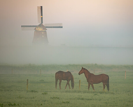 Dutch country vibes
