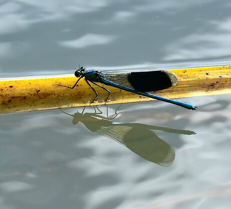 Zit alles nog strak ?