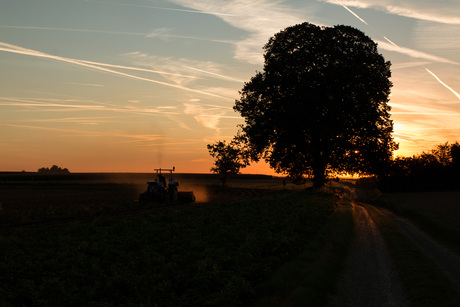 Traktor op het land