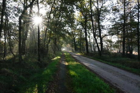 Herfst in Twente 