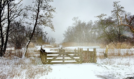 Sneeuwbui op de Oeverlanden