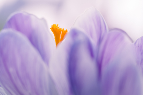 Genieten van de zon.