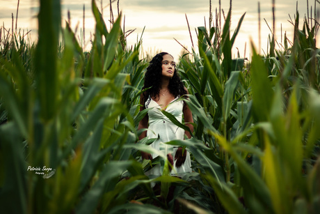 Cornfield Photoshoot