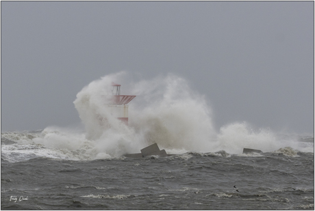 Storm Corrie