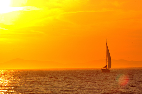 Sailing in Sunset