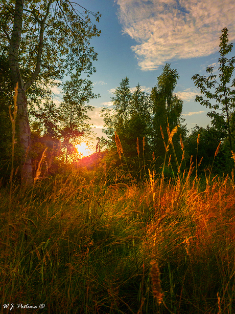 Zonsondergang. 