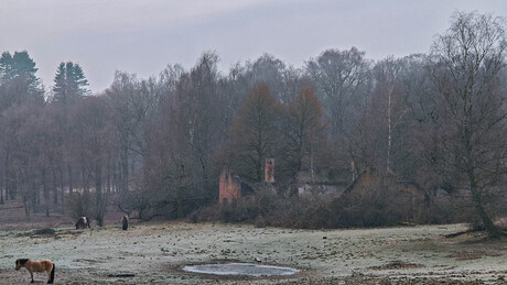 Ruïne Herikhuizerveld