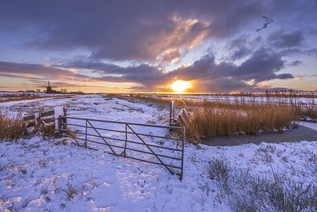 Winter in de polder