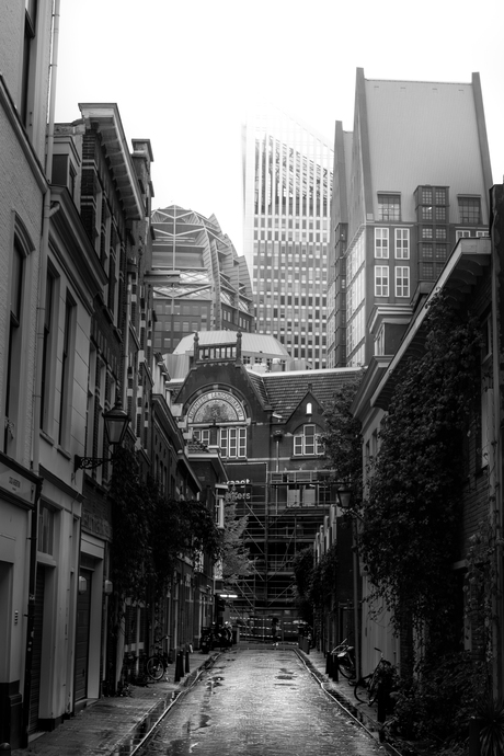 Korte Koediefstraat, Den Haag