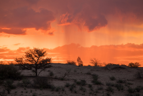 African skies