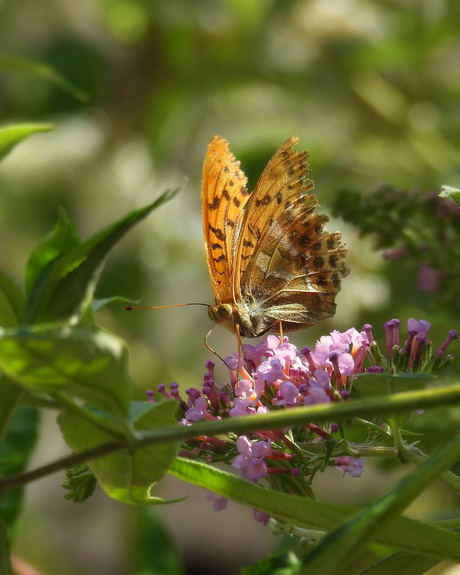 Afscheid van de zomer