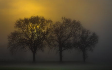 Zonsopkomst in de mist