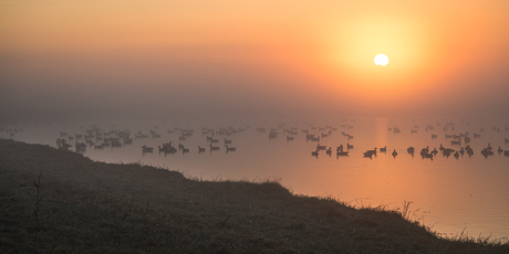 Sunrise