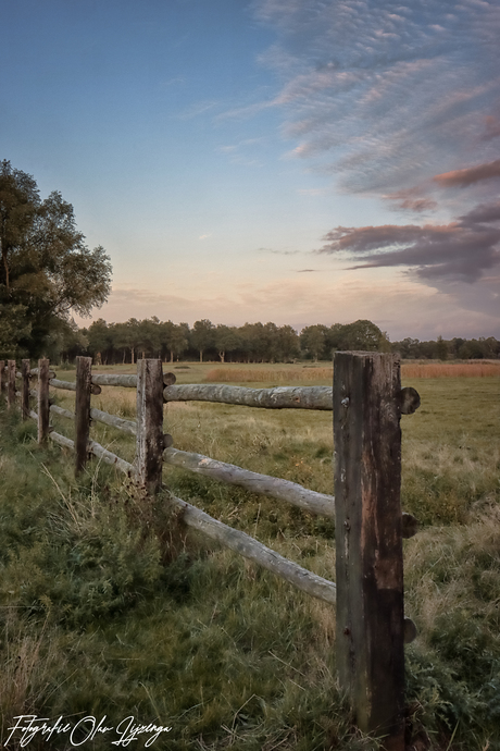 the old fence