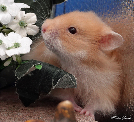 "Stop and smell the flowers..."