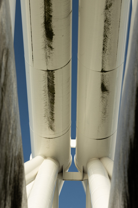 Sterk staaltje ... (2)