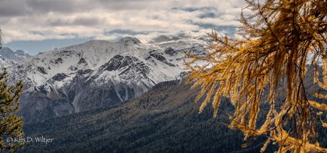 herfst naar winter