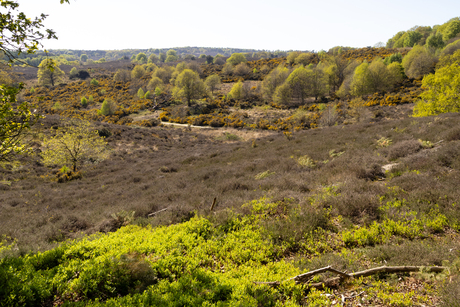 De natuur wordt wakker