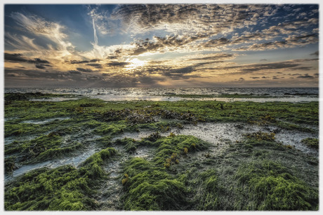 De Zeeuwse kust....