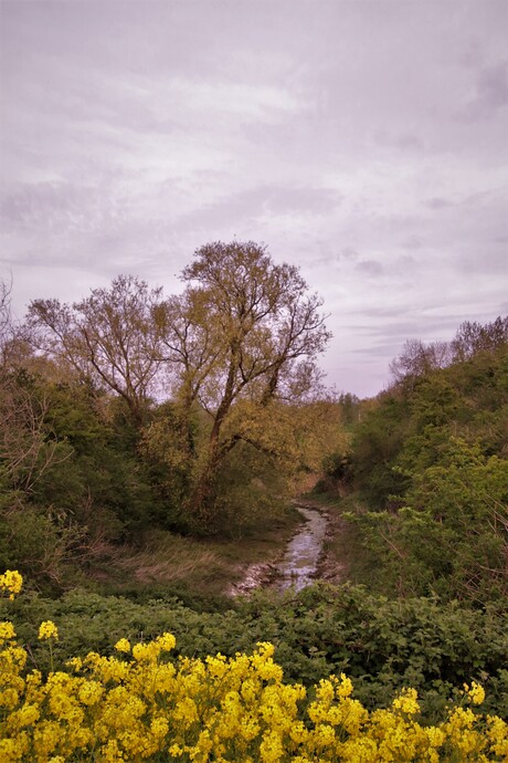 Woeste Natuur