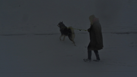 visually a bit monotonous