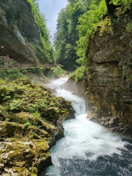 Vintgar kloof Slovenië