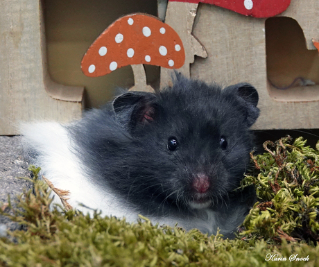 "Just being cute..."