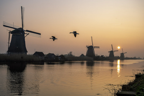 Goodmorning Kinderdijk