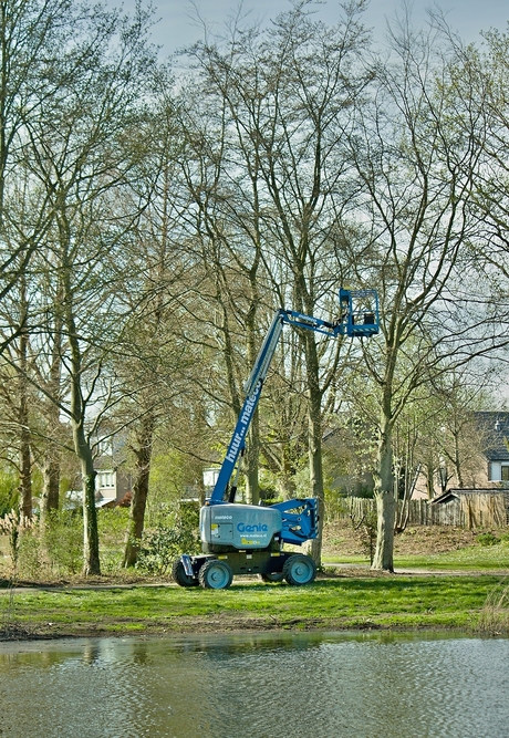 Snoeien in Park Esterveld, foto 1.