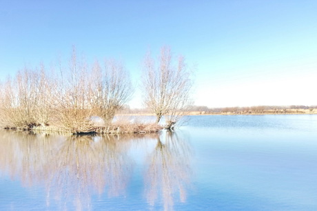 Reeuwijkse Hout 02