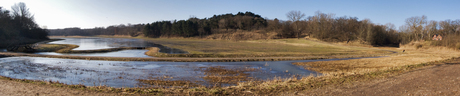 Kennemer Duinen Panorama