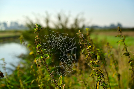 Herfst