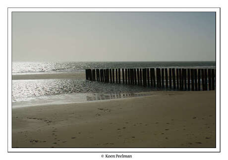 Op het strand