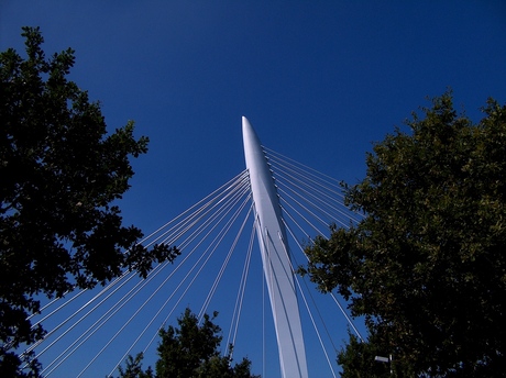 Prins Clausbrug: Natuur