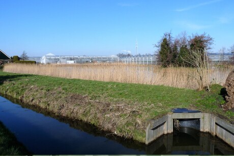 P1470969 Waterberging Hoefweg de Lier 17feb 2018