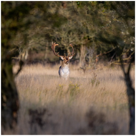 Bronst 2024 - Waterleidingduinen (1)