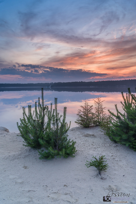 Zonsopkomst bij het Gasselterveld, Drente (Hondsrug)