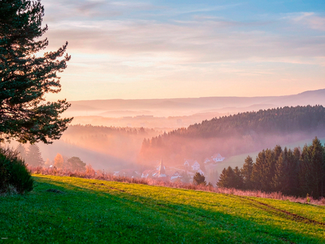 Schwarzwald bewerking