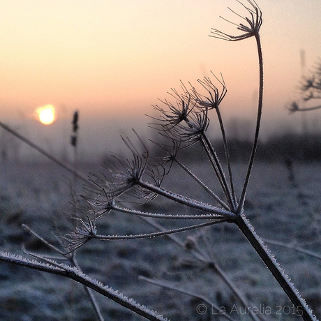 Een winterse vrijdagochtend