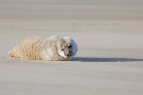 op het strand