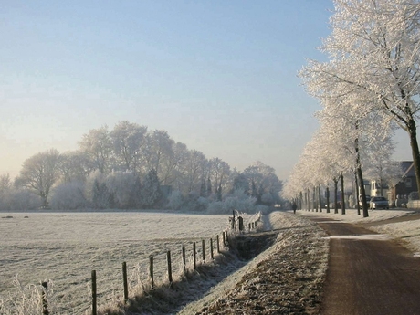 Elst - Rijksweg zuid