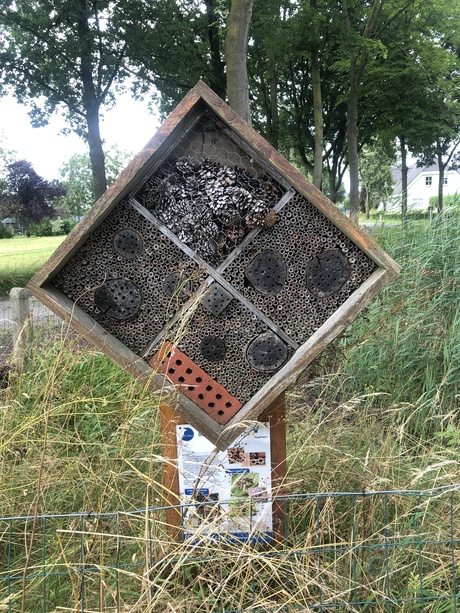 Insekt hotel Gerwen ( Nuenen gerwen nederwetten) NB