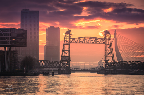Zonsondergang Rotterdamse bruggen